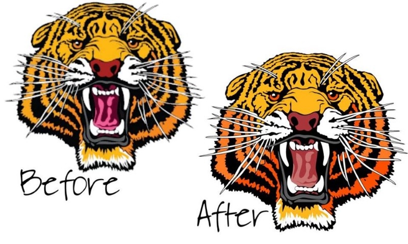 Embroidery Digitizing and Vector Art‎ $15